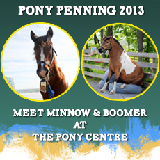 Pony Penning 2013